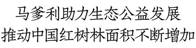 马爹利计划新增376公顷红树林湿地修复面积持续助力滨海湿地生态系统构建(图4)