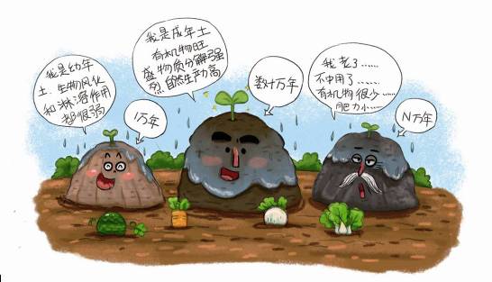 通化医药高新区(图3)