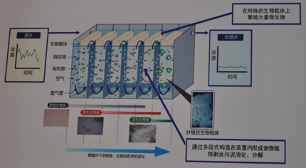 值得中国敬重的日本环保技术(图1)