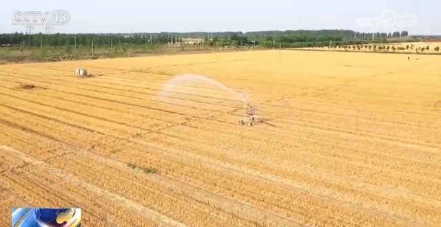 喷灌、沟灌、分段灌……多措并举调水抗旱保障夏播灌溉用水(图2)