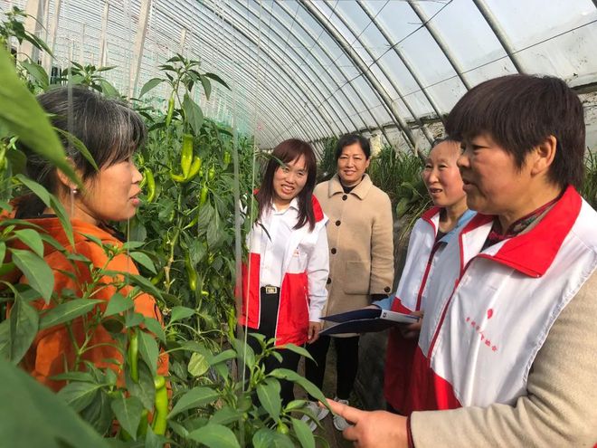 凤舞潍水下岗女工组建起土壤检测“娘子军”她们守护田间希望(图3)