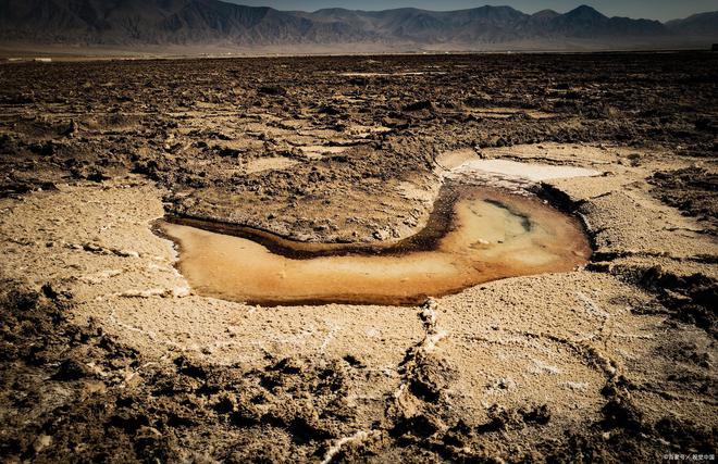 COR冠菌素土壤修复：盐碱土地影响产量？抗盐碱的“秘密武器”(图2)