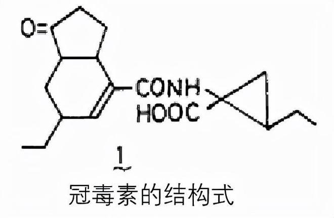 COR冠菌素土壤修复：盐碱土地影响产量？抗盐碱的“秘密武器”(图3)