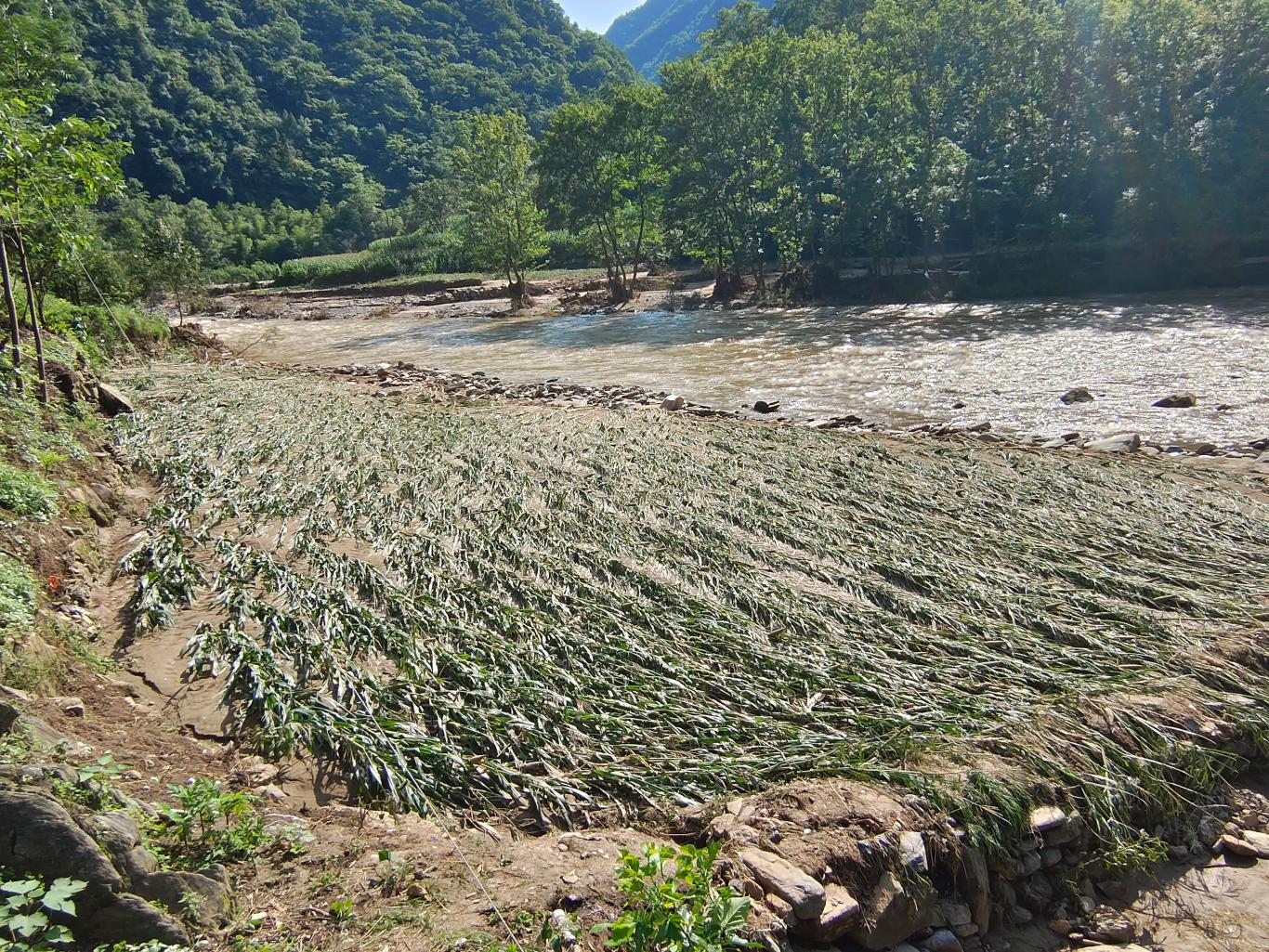 脚下有泥土人间有力量——安康汉滨区中原镇全面开展灾后自建工作纪实(图2)