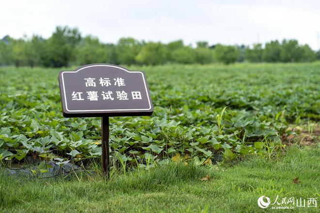 山西高平：于绿水青山中璀璨珐华熠熠生辉(图5)