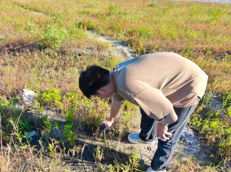 关注上海南汇湿地面积萎缩上海海洋大学师生启动“碱”盐行动(图1)