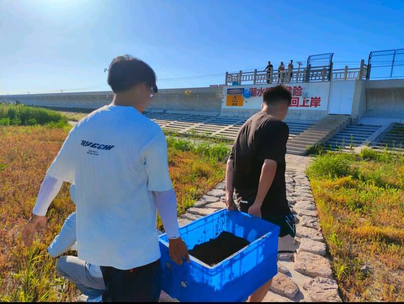 关注上海南汇湿地面积萎缩上海海洋大学师生启动“碱”盐行动(图3)