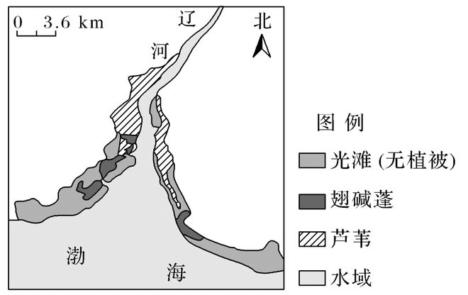 【核心考点】水土流失、生态修复、湿地、土地盐碱化(图3)