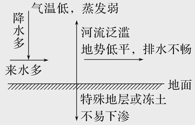 【核心考点】水土流失、生态修复、湿地、土地盐碱化(图5)