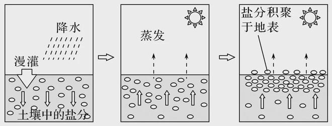 【核心考点】水土流失、生态修复、湿地、土地盐碱化(图9)