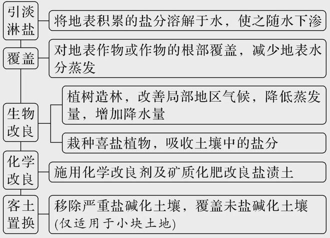 【核心考点】水土流失、生态修复、湿地、土地盐碱化(图11)